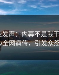 明星深夜发声：内幕不是我干的！pixiv全网疯传，引发众怒