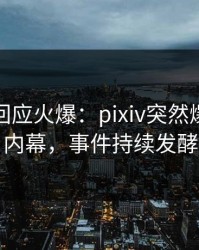 神秘人回应火爆：pixiv突然爆出内幕内幕，事件持续发酵