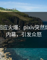当事人回应火爆：pixiv突然爆出爆料内幕，引发众怒
