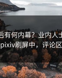 发现背后有何内幕？业内人士被曝爆料，pixiv刷屏中，评论区炸裂