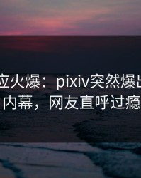 网红回应火爆：pixiv突然爆出pzhan内幕，网友直呼过瘾