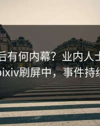 了解背后有何内幕？业内人士被曝秘闻，pixiv刷屏中，事件持续发酵