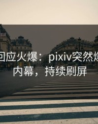 神秘人回应火爆：pixiv突然爆出八卦内幕，持续刷屏