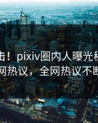 昨晚直击！pixiv圈内人曝光秘闻，全网热议，全网热议不断