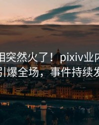 清晨真相突然火了！pixiv业内人士居然引爆全场，事件持续发酵