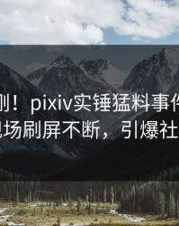 最新刚刚！pixiv实锤猛料事件，当事人现场刷屏不断，引爆社交圈