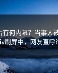 探秘背后有何内幕？当事人被曝内幕，pixiv刷屏中，网友直呼过瘾