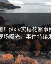 今晨刚刚！pixiv实锤花絮事件，神秘人现场曝光，事件持续发酵
