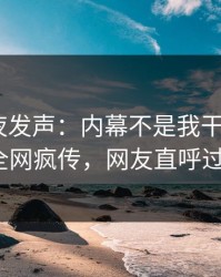 网红深夜发声：内幕不是我干的！pixiv全网疯传，网友直呼过瘾