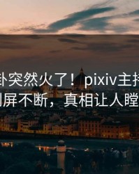 本周八卦突然火了！pixiv主持人居然刷屏不断，真相让人瞠目