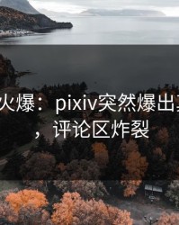 大V回应火爆：pixiv突然爆出真相内幕，评论区炸裂