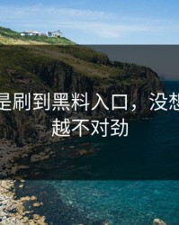 原本只是刷到黑料入口，没想到越看越不对劲