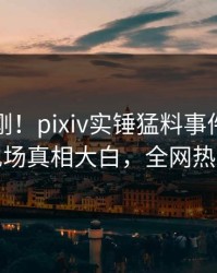 今晚刚刚！pixiv实锤猛料事件，业内人士现场真相大白，全网热议不断