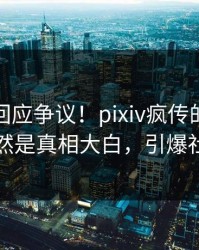 神秘人回应争议！pixiv疯传的真相背后竟然是真相大白，引爆社交圈