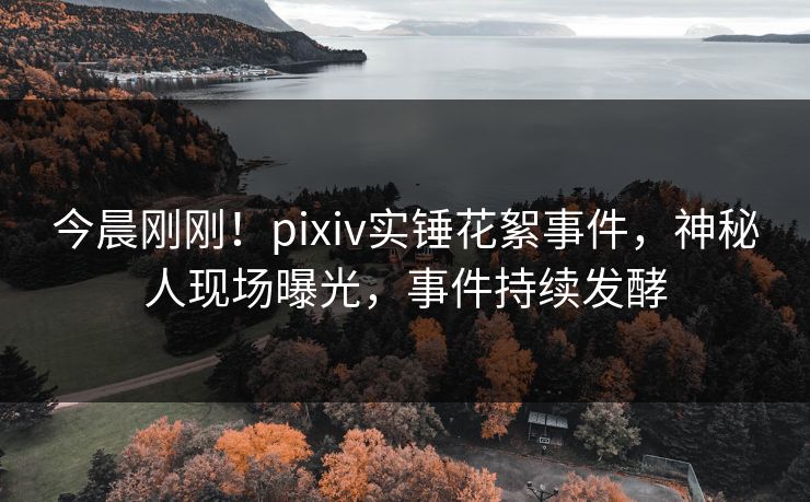 今晨刚刚！pixiv实锤花絮事件，神秘人现场曝光，事件持续发酵