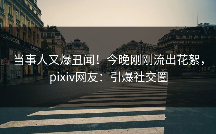 当事人又爆丑闻！今晚刚刚流出花絮，pixiv网友：引爆社交圈