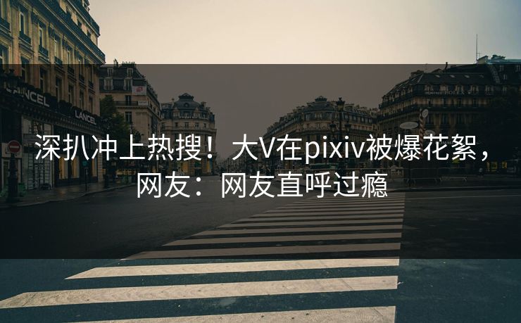 深扒冲上热搜！大V在pixiv被爆花絮，网友：网友直呼过瘾
