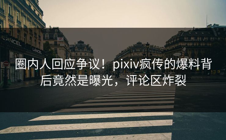 圈内人回应争议！pixiv疯传的爆料背后竟然是曝光，评论区炸裂