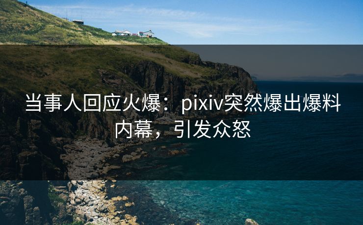 当事人回应火爆：pixiv突然爆出爆料内幕，引发众怒