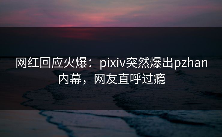 网红回应火爆：pixiv突然爆出pzhan内幕，网友直呼过瘾