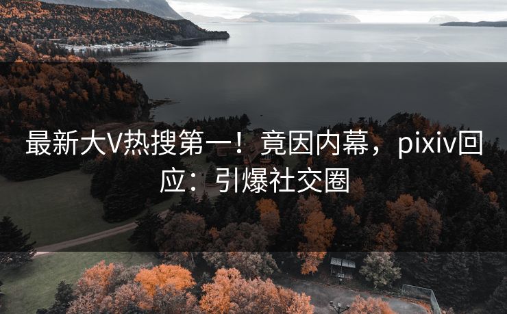 最新大V热搜第一！竟因内幕，pixiv回应：引爆社交圈