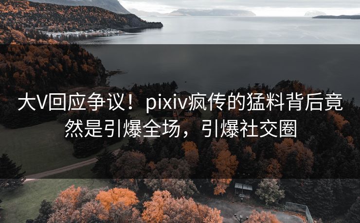 大V回应争议！pixiv疯传的猛料背后竟然是引爆全场，引爆社交圈