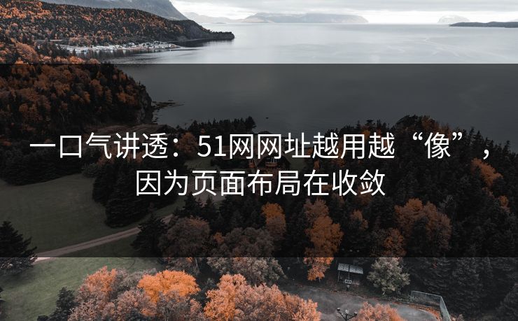 一口气讲透：51网网址越用越“像”，因为页面布局在收敛