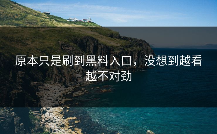 原本只是刷到黑料入口，没想到越看越不对劲